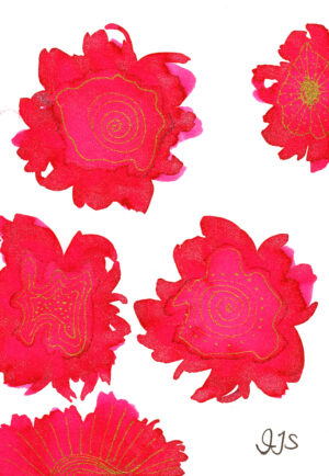 WILDFLOWER - MAGENTA