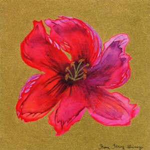 TIME TO BLOSSOM - BLISSFUL